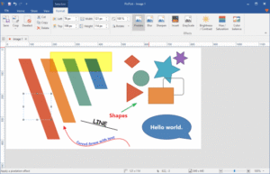 PicPick Professional 7.6 Multilingual 1