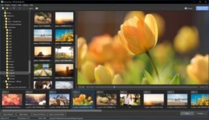 WnSoft PTE AV Studio Pro 12.0.2 Build 1 Multilingual 1