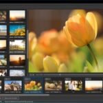 WnSoft PTE AV Studio Pro 12.0.2 Build 1 Multilingual